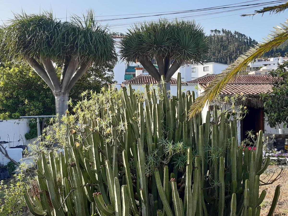Casa Rural Los Dragos Fuencaliente de la Palma Zewnętrze zdjęcie